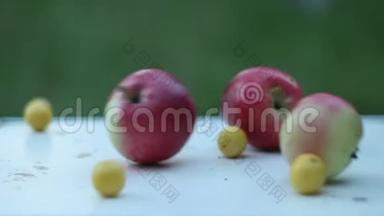 成熟的水果：绿梨、红苹果和黄樱桃李卷在一张白色的乡村桌子上，背景是绿色的花园